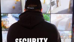 concert security guard video