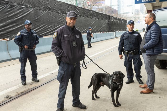 hospital security guards in new york