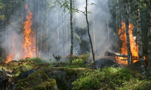 california wildfire security and protection