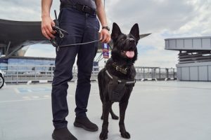texas security guards with dog