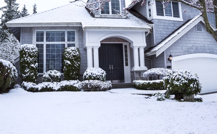 winter security guards for your home