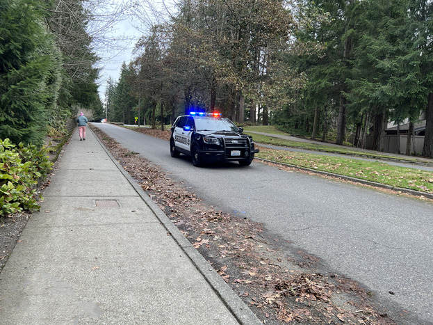 Residential Neighborhood Patrol Security